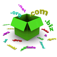 Meedere domeinnamen voor 1 website?