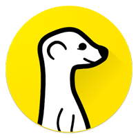 meerkat